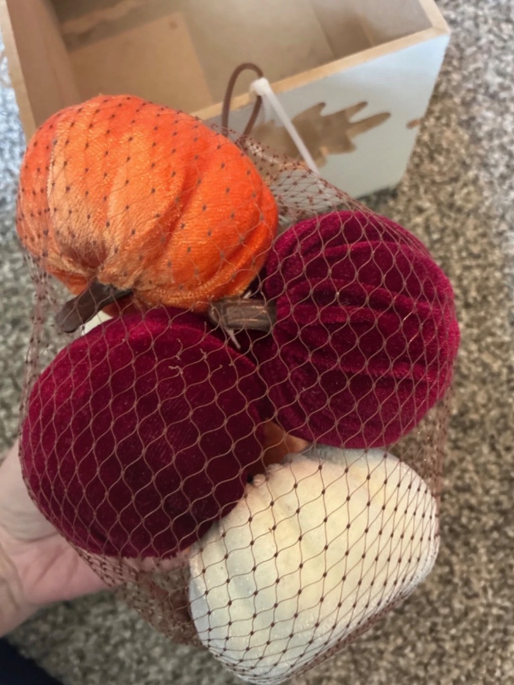 Hello Fall Pumpkin Decor - Picture 7 of 8